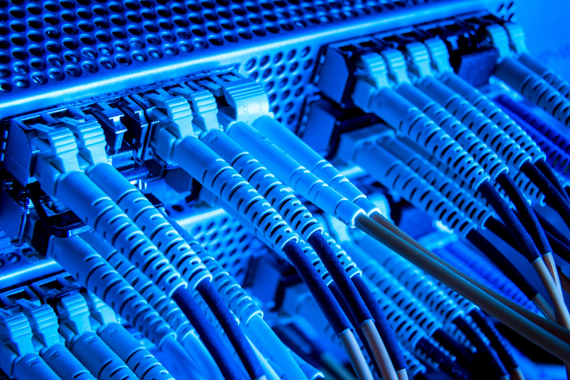 Fiber Connectivity